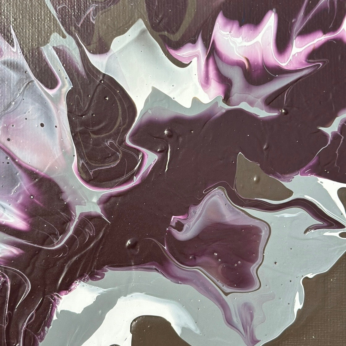 French Birds - rylanatownsend